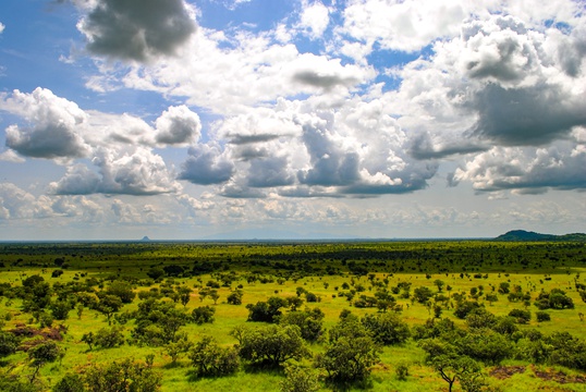 The vast savannah landscape of Karamoja, eastern Uganda.