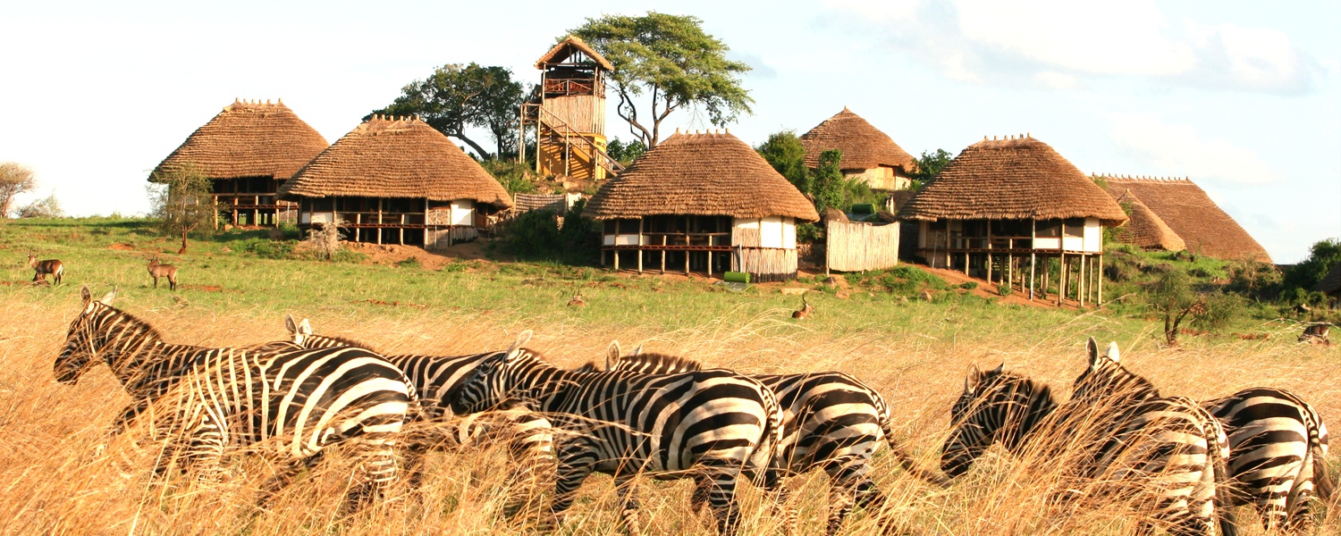 Zebras at Apoka Safari Lodge, Kidepo Valley National Park