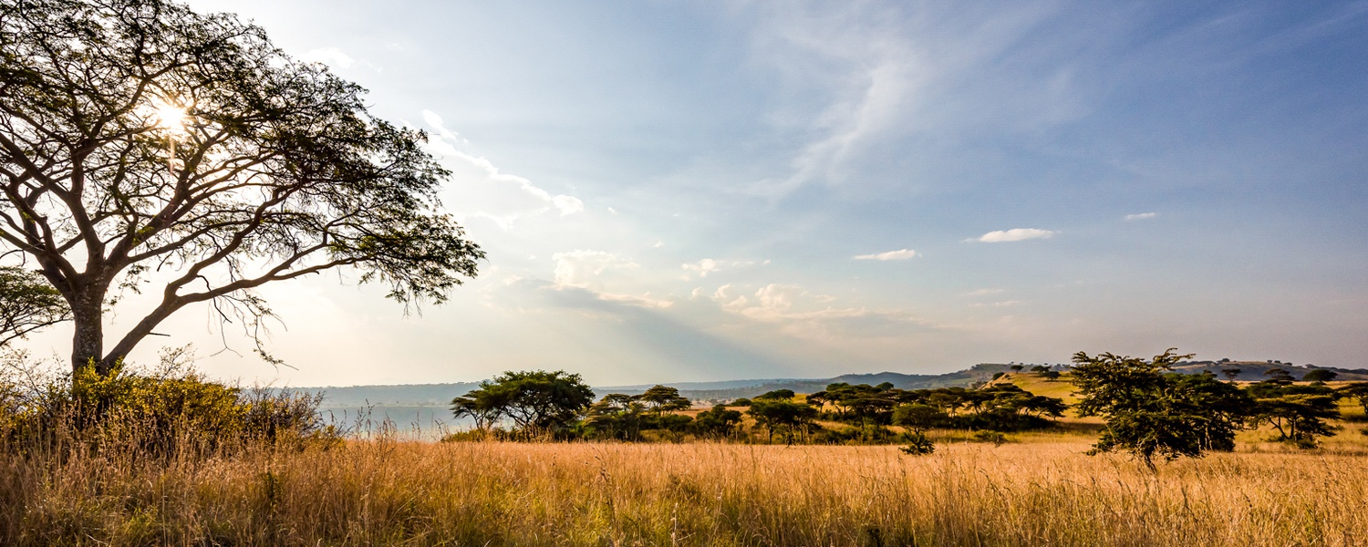 Acacia trees & savannah plains in Queen Elizabeth National Park, Uganda 